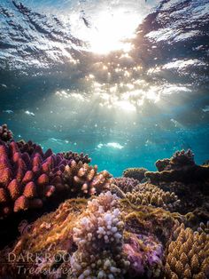 the sun shines through the water over an underwater coral reef