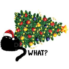 a black cat with a christmas tree on it's head and the words what?