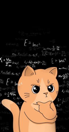 an orange cat sitting in front of a blackboard with many calculations written on it