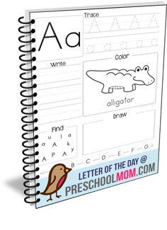 a notebook with the letter of the day and an image of a bird on it