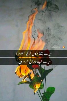 a rose with fire in the background and an arabic quote on it that reads,