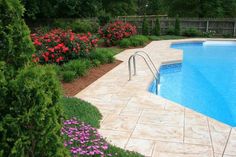 a swimming pool surrounded by lush green trees and red flowers in the foreground, next to a stone patio with steps leading up to it