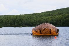 there is a boat made out of sticks in the water with trees in the background