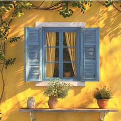 a window with blue shutters and potted plants in front of it on a yellow wall