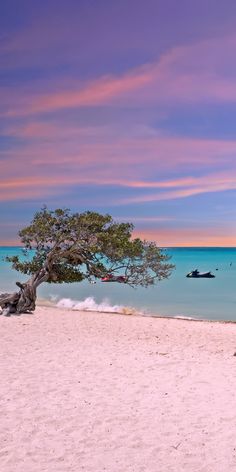 a lone tree on the beach with boats in the water and pink clouds above it