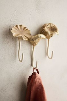 two hooks are attached to the wall with mushrooms on them