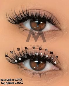 Wispy Cat Eye Mapping, Easy Lash Map, Lash Map For Almond Eyes, Lash Map Cat Eye, Lash Maps