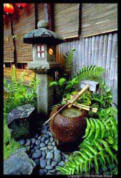 a japanese garden with rocks, plants and a water feature in the center is lit by lanterns