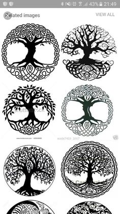 the tree of life is depicted in several different styles and sizes, including one that looks like