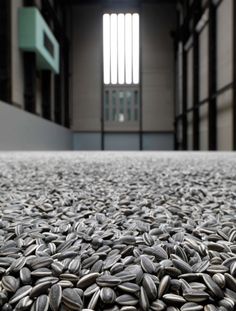 a pile of sunflower seeds sitting on top of a floor