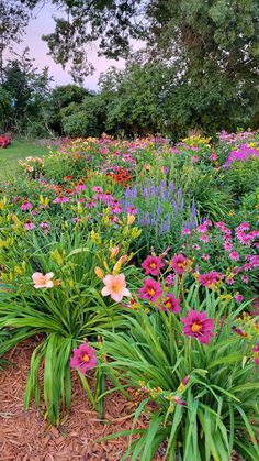 many different colored flowers in a garden