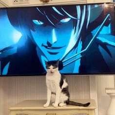 a black and white cat sitting on top of a table next to a tv screen