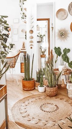 a room filled with lots of potted plants