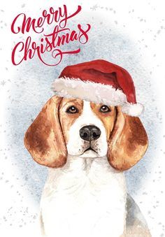 a brown and white dog wearing a santa hat with the words merry christmas written on it