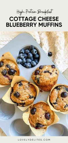 blueberry muffins in paper cups on a tray with the words cottage cheese blueberry muffins