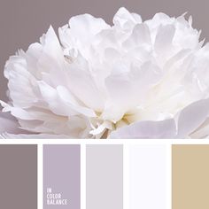 the color scheme is neutral, white and gray with a large flower in it's center