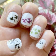 Plant Nail Art Transfers By Kate Broughton Plant Nail Art, Nail Transfers, Leaf Nail Art, Plant Drawings, Bare Nails, Varnish Remover, Nail Coat, Small Nail, Top Film