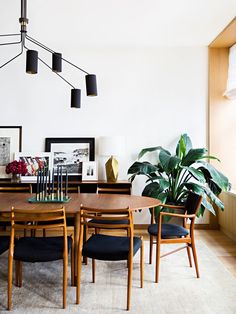 a dining room table surrounded by chairs and plants