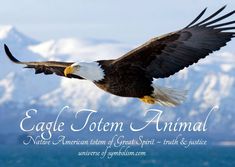 an eagle flying in the air with mountains in the background and text eagle totem animal