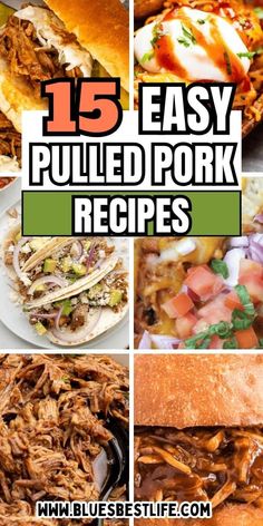 the top 15 easy pulled pork recipes