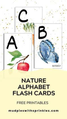 an alphabet flash card with pictures of fruits and vegetables