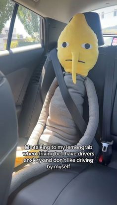 a stuffed animal sitting in the back seat of a car with a caption on it