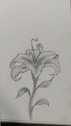 Withering Flower Drawing, Pretty Sketches Aesthetic, Flower Sketches Simple Pencil, Aphrodite Drawing Sketch, Drawing Sketches Flowers, East Sketches, Sketchbook Ideas Flowers, Flower Sketches Easy, Flower Pencil Sketches