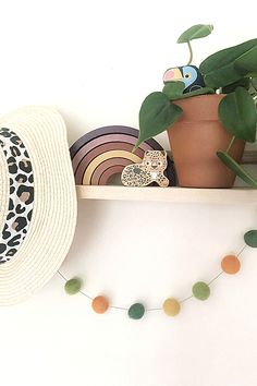 a hat and other items are on a shelf next to a potted plant with green leaves