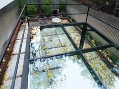 an outdoor area with water and trees in the background, surrounded by fenced enclosures