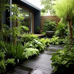 a very nice looking garden with lots of plants