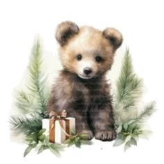 a watercolor painting of a brown bear holding a present with greenery around it