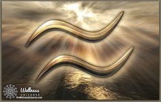 an artistic image of the zodiac sign pisciu on water with sun shining through clouds