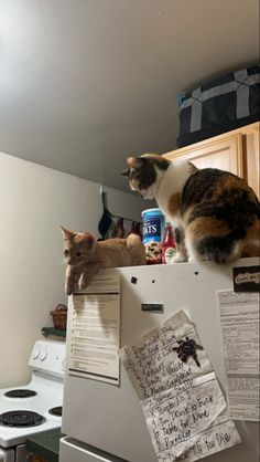 two cats sitting on top of a refrigerator freezer in a kitchen next to a stove