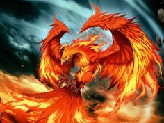 an image of a fire bird with the words, when it seems life has knocked you down