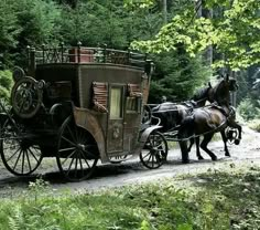 a horse drawn carriage traveling down a dirt road in the middle of a lush green forest