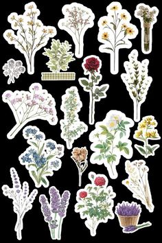 a bunch of stickers with flowers on them