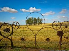 an iron fence with wheels on it in the middle of a field