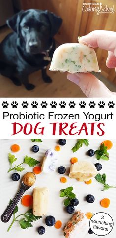 a person holding a piece of food in front of a dog with the caption probiotic frozen yogurt dog treats