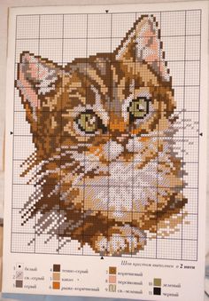 a cross - stitch pattern of a cat's face on a sheet of paper