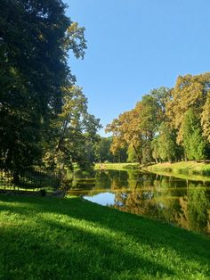 a pond in the middle of a park with trees around it and grass on both sides