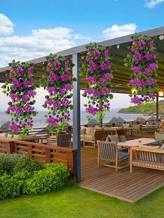 an outdoor dining area with purple flowers on the pergolated roof and wooden benches