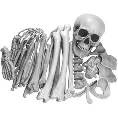 PRICES MAY VARY. Last for Many Years - Skeleton bones are made of sturdy plastic material that is lightweight and shatterproof Skeleton Bones Decor - 35 Pieces bone that includes a skeleton skull, hands, backbone, feet and more Life-size Bones - Featuring a realistic design, Bones fully human-sized through measured the height of the 4'11" female legs that will compliment any spooky scene Easy to Store - Bones come in a mesh bag tied, easy to store for next year use. Featuring a realistic design Bones Decor, Fake Skeleton, Bag Of Bones, Graveyard Scene, Halloween Yard Signs, Female Legs, Halloween Skeleton Decorations, Decor For Halloween, Skull Statue