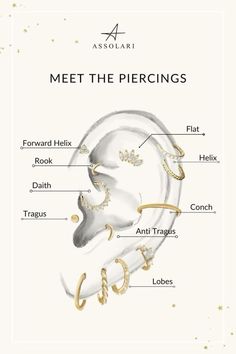 the parts of an ear and its corresponding parts are labeled in gold, silver, and white