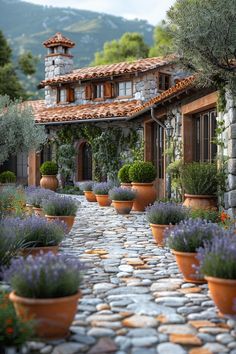 there are many potted plants on the cobblestone walkway in front of this house