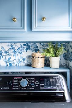 a kitchen with blue cabinets and a black stove top oven in front of a potted plant