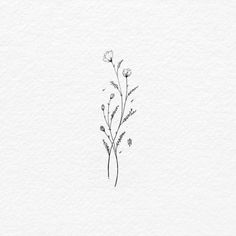 a drawing of some flowers on a white paper