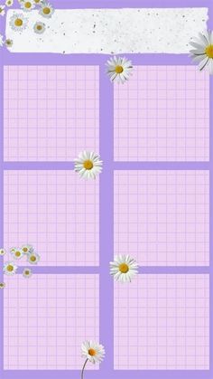 a purple background with white daisies on it