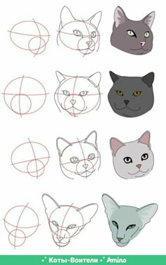 How To Draw Cats, Draw Cats, To Draw, Step By Step