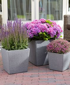 three cement planters with purple flowers in them