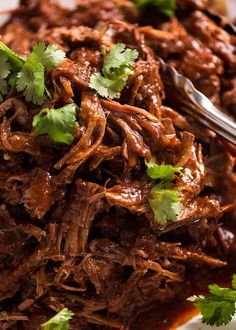 shredded beef with cilantro and coriant garnish on a white plate